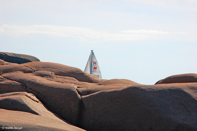 Segel passerar klippor i Bohuslän