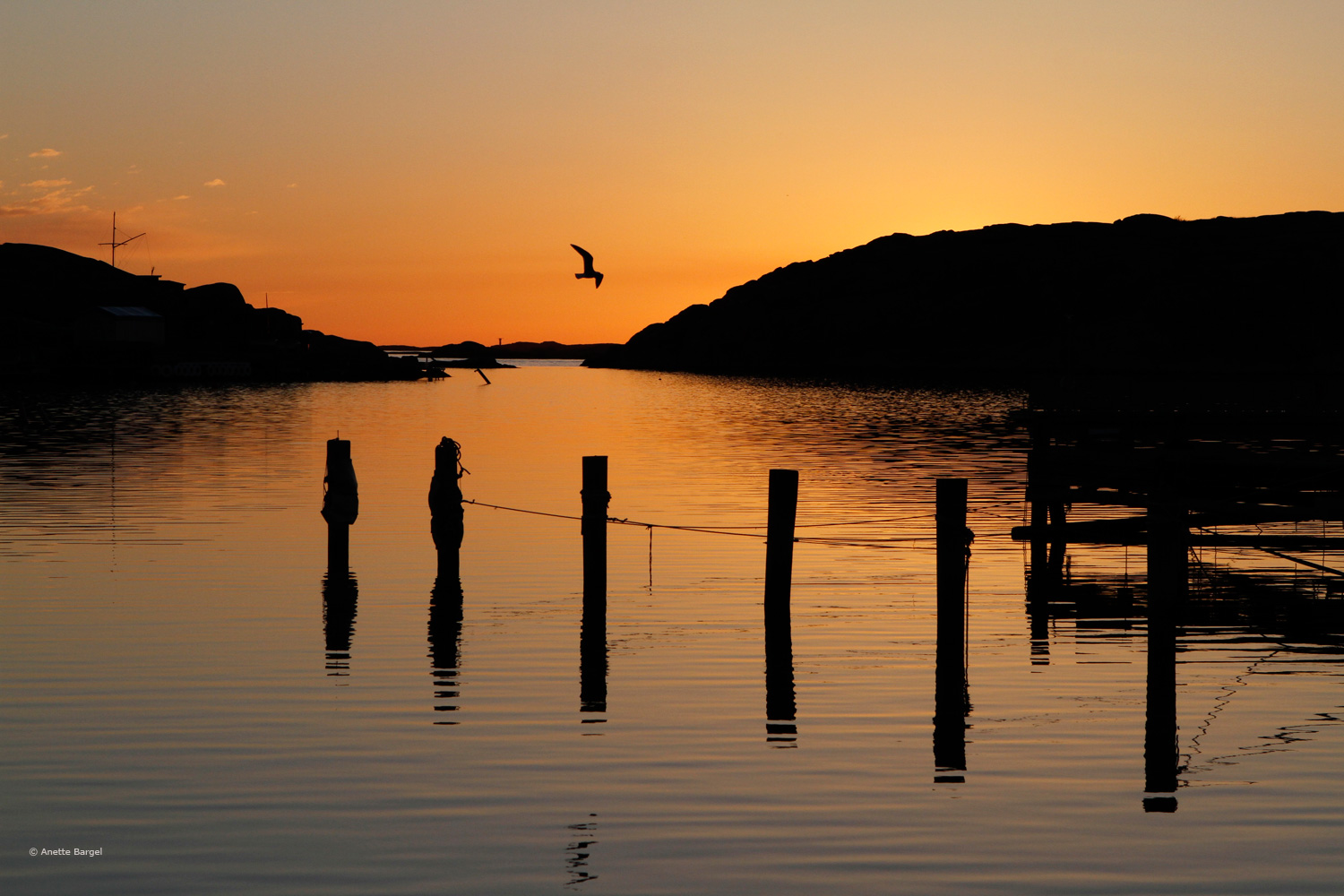 Solnedgång i Lysekil. Foto Anette Bargel