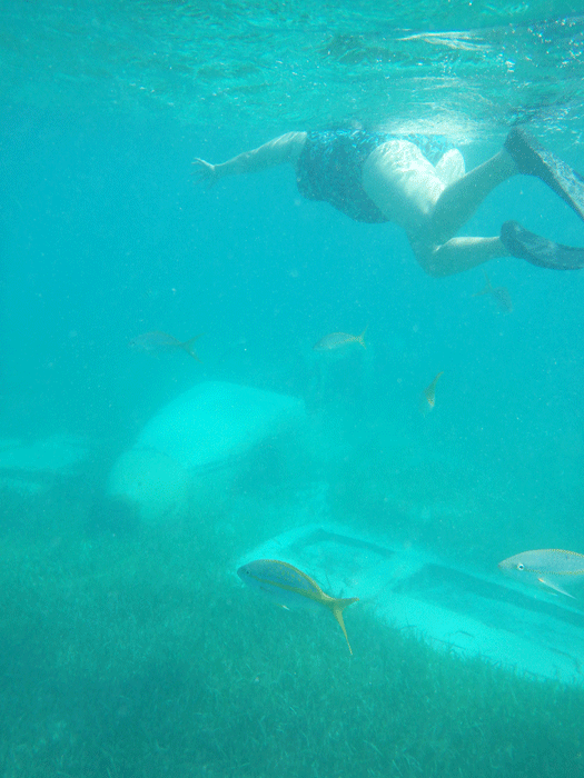 Snorkling coco cay bahamas