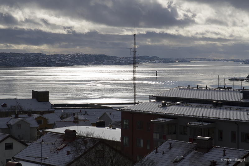 Vintersol över fjorden